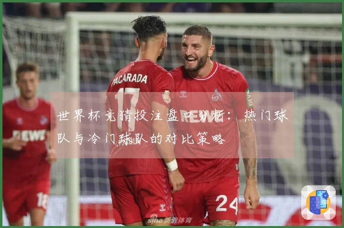 世界杯竞猜投注盘口分析：热门球队与冷门球队的对比策略
