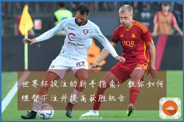世界杯投注的新手指南：教你如何理智下注并提高获胜机会