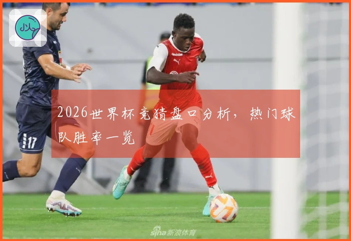 2026世界杯竞猜盘口分析，热门球队胜率一览