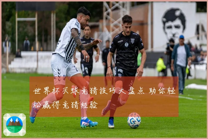 世界杯买球竞猜技巧大盘点 助你轻松赢得竞猜经验