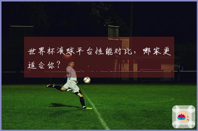 世界杯滚球平台性能对比，哪家更适合你？