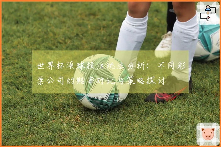世界杯滚球投注玩法分析：不同彩票公司的赔率对比与策略探讨